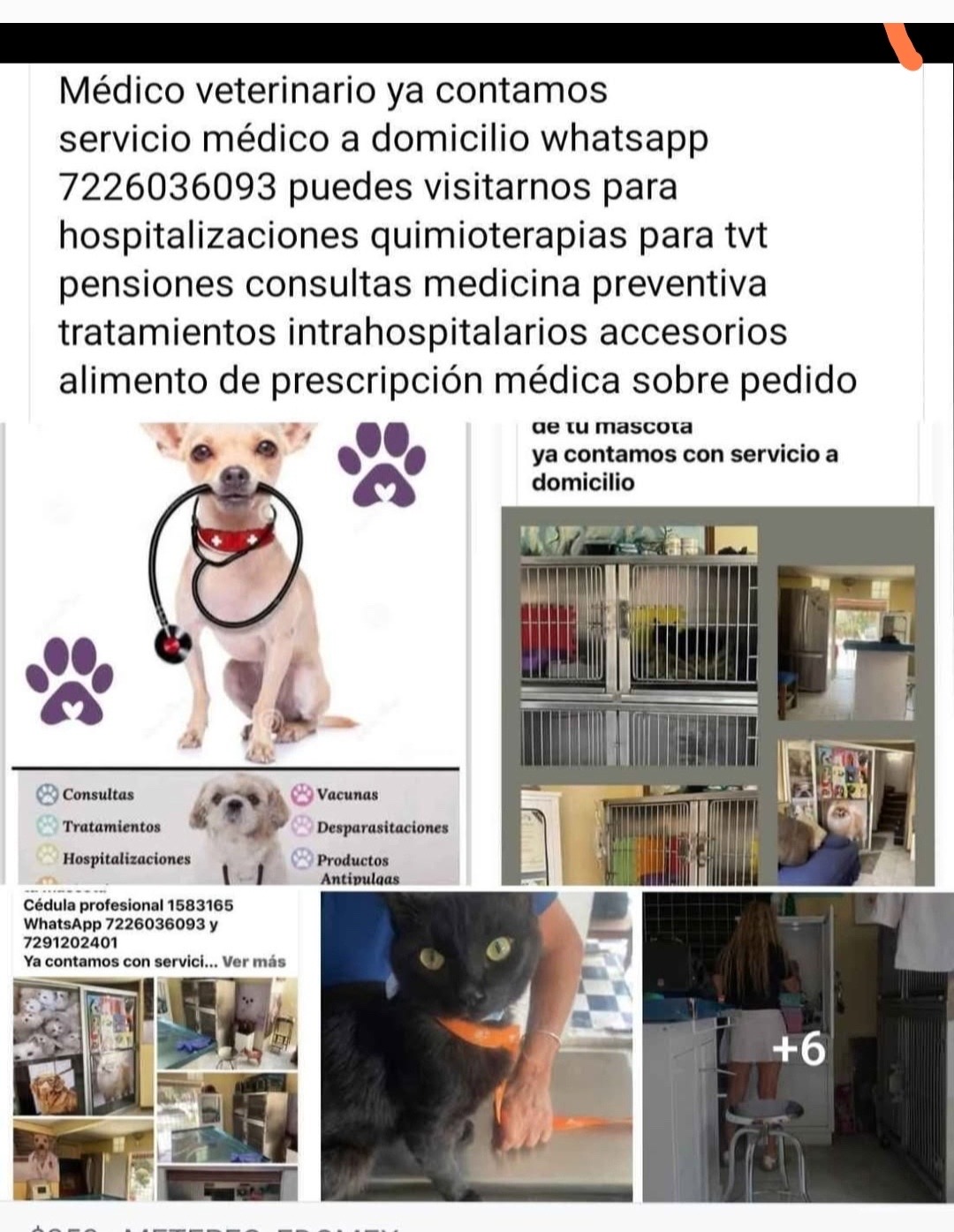 Anuncio de servicios veterinarios