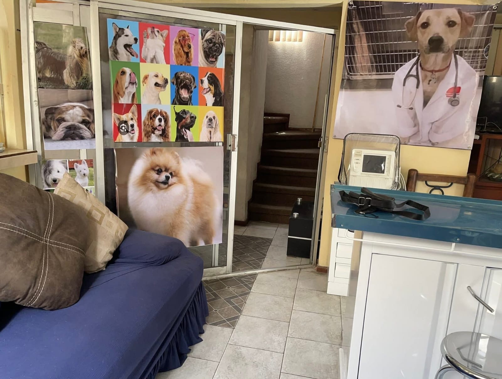 Publicación de servicios veterinarios